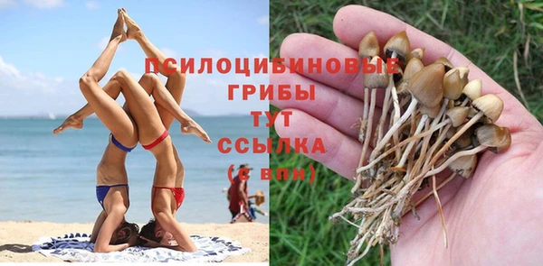 apvp Беломорск