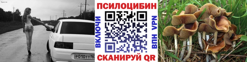Псилоцибиновые грибы Psilocybine cubensis  Каменск-Уральский 